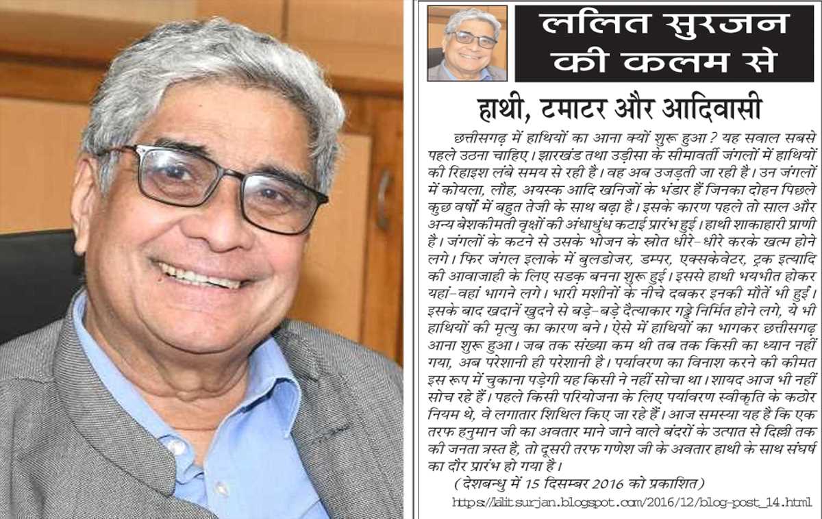 ललित सुरजन की कलम से- हाथी, टमाटर और आदिवासी